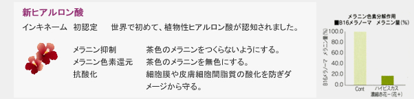 新ヒアルロン酸：世界で初めて、植物性ヒアルロン酸が認知されました。