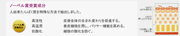 ノーベル賞受賞成分：人由来たんぱく質を特殊な方法で抽出しました。